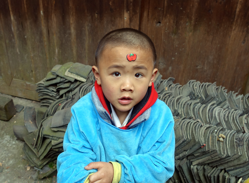 2017-04-11_164540 china-2017.jpg - Longsheng - Pingan - Reisterassen